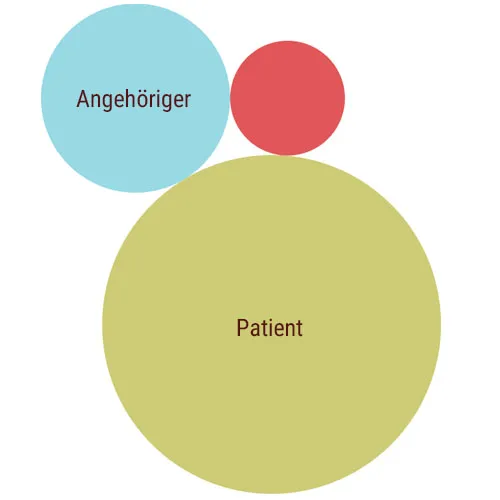 Kreisdiagramm der Teilnehmergruppen: „Patient“ als größter Kreis, „Angehöriger“ als etwa ein Drittel so großer Kreis, dazu ein kleiner unbeschrifteter Kreis für die Mitarbeitenden