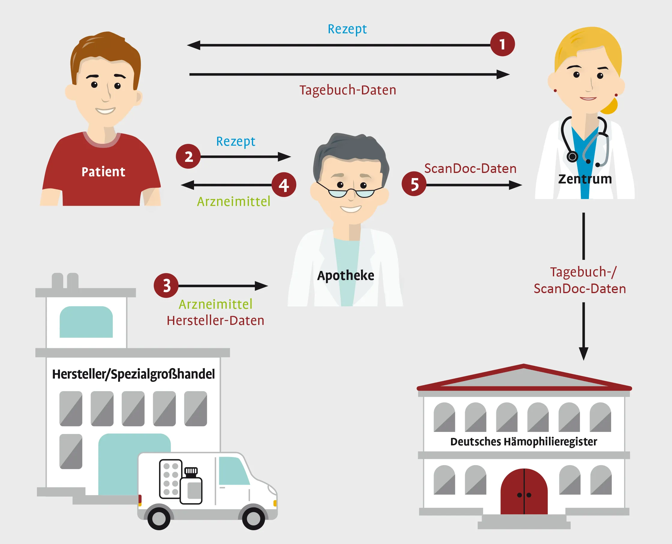 Process diagram, stage 7 of 7: complete, additionally an arrow “diary/ScanDoc data” from the center down to the German Hemophilia Registry